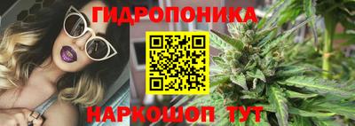 сатива Пугачёв