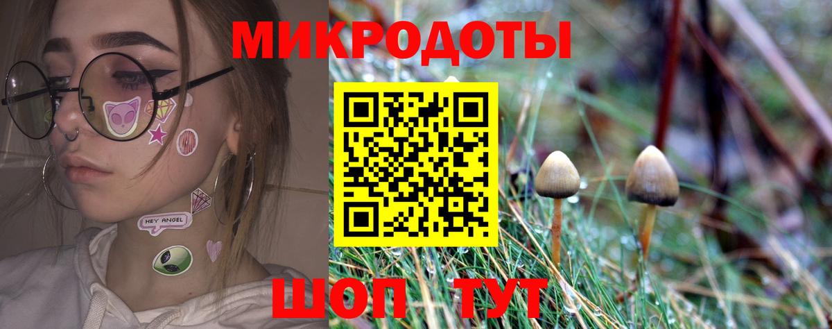 Псилоцибиновые грибы Cubensis  Вход с VPN  Псилоцибиновые грибы Cubensis  Псков 